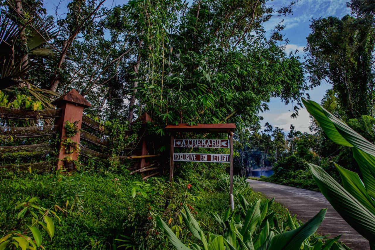 Hotel Atremaru Jungle Retreat Puerto Princesa Exterior foto